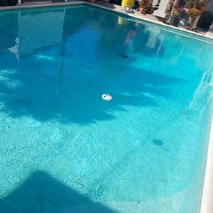 Meet your Posher, Rodney